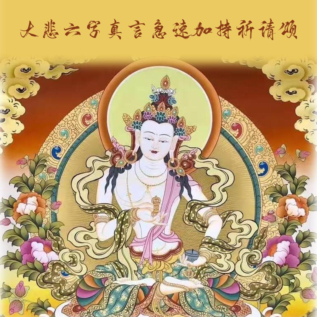 大悲六字真言急速加持祈请颂