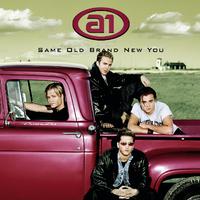 原版伴奏   Same Old Brand New You - A1