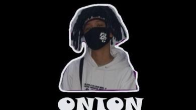 葱仔Onion