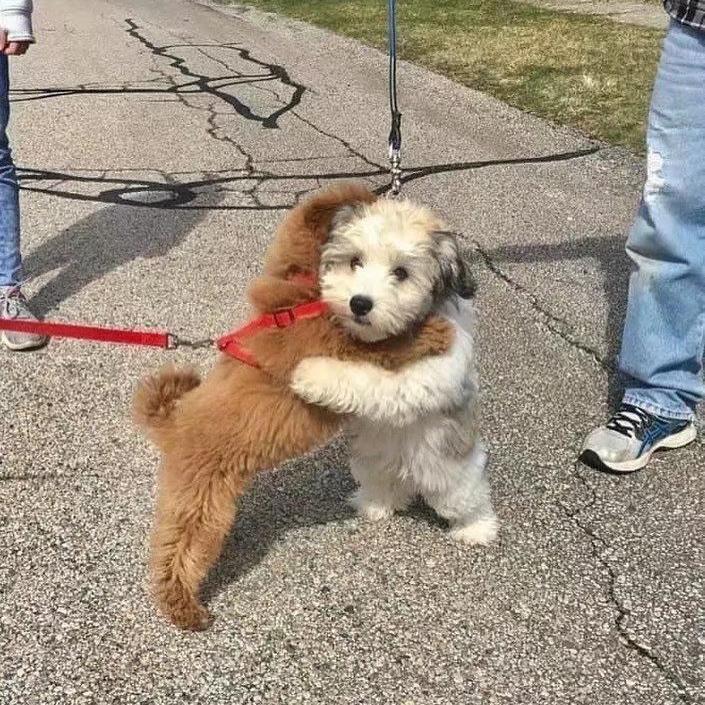 勇气（四川师范合唱）