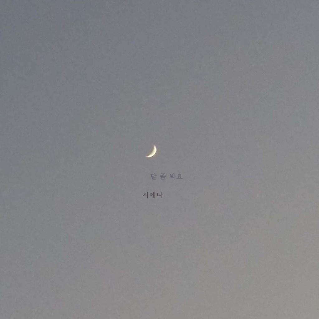 달 좀 봐요