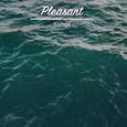 #20 Pleasant Songs for Meditation and Sleep