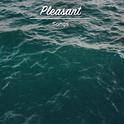 #20 Pleasant Songs for Meditation and Sleep专辑