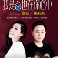 高安、郑莉莉 - 我是否也在你心中 (KTV版伴奏)