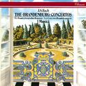 Bach, J.S.: Brandenburg Concertos专辑