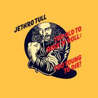 Tull Jethro - The Chequered Flag (unofficial instrumental)