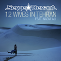 12 Wives in Tehran专辑