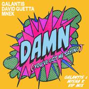 Damn (You’ve Got Me Saying) [Galantis & Misha K VIP Mix]