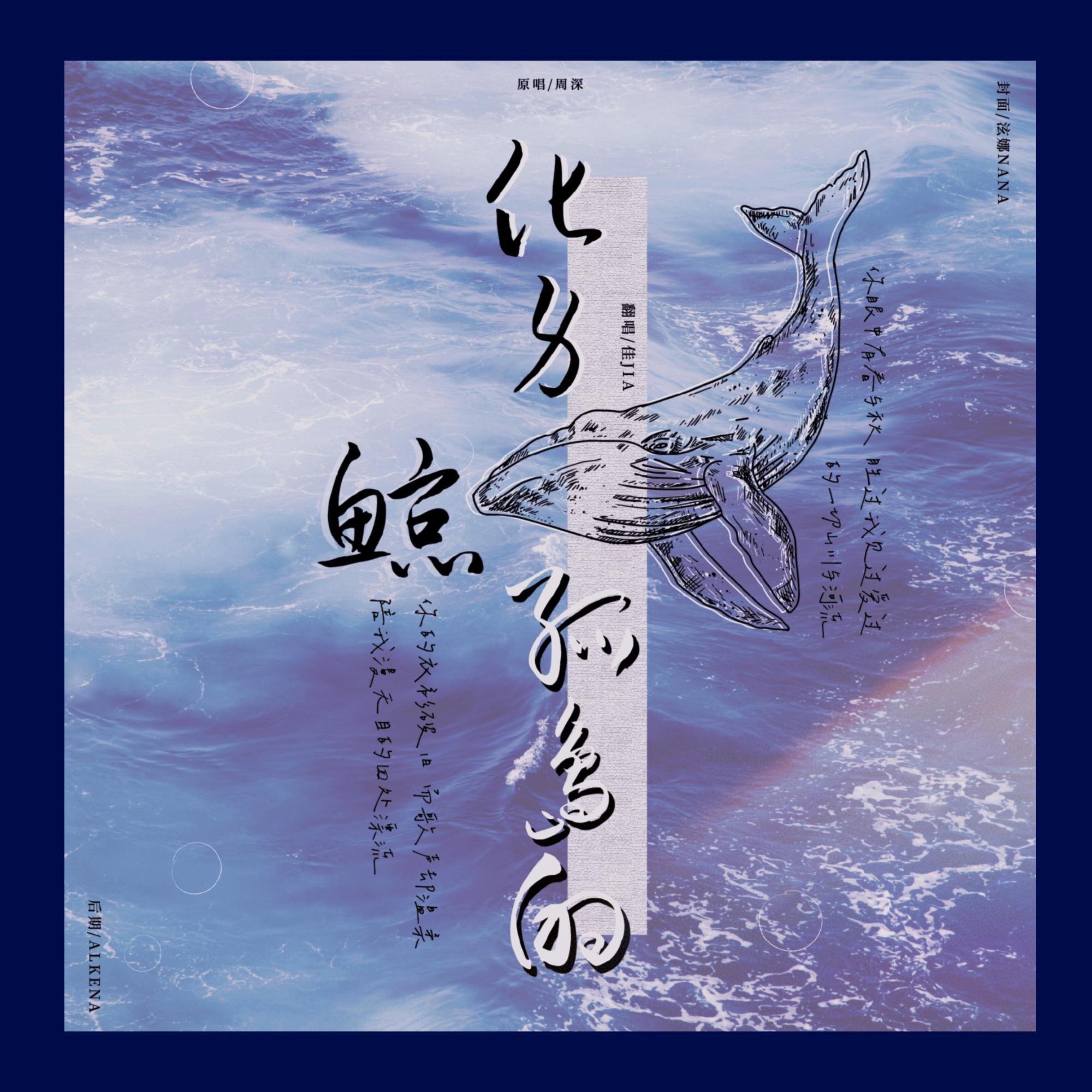 化身孤岛的鲸（原唱：周深）