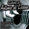 Guitarra de Antonio de Lucena