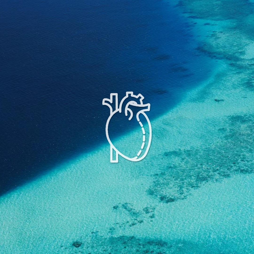 致你心底的海