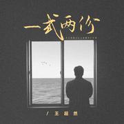 一式两份