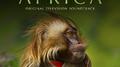 Africa (Original Television Soundtrack)专辑