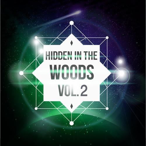 Hidden In The Woods Vol.2专辑