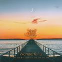 Wonderful U