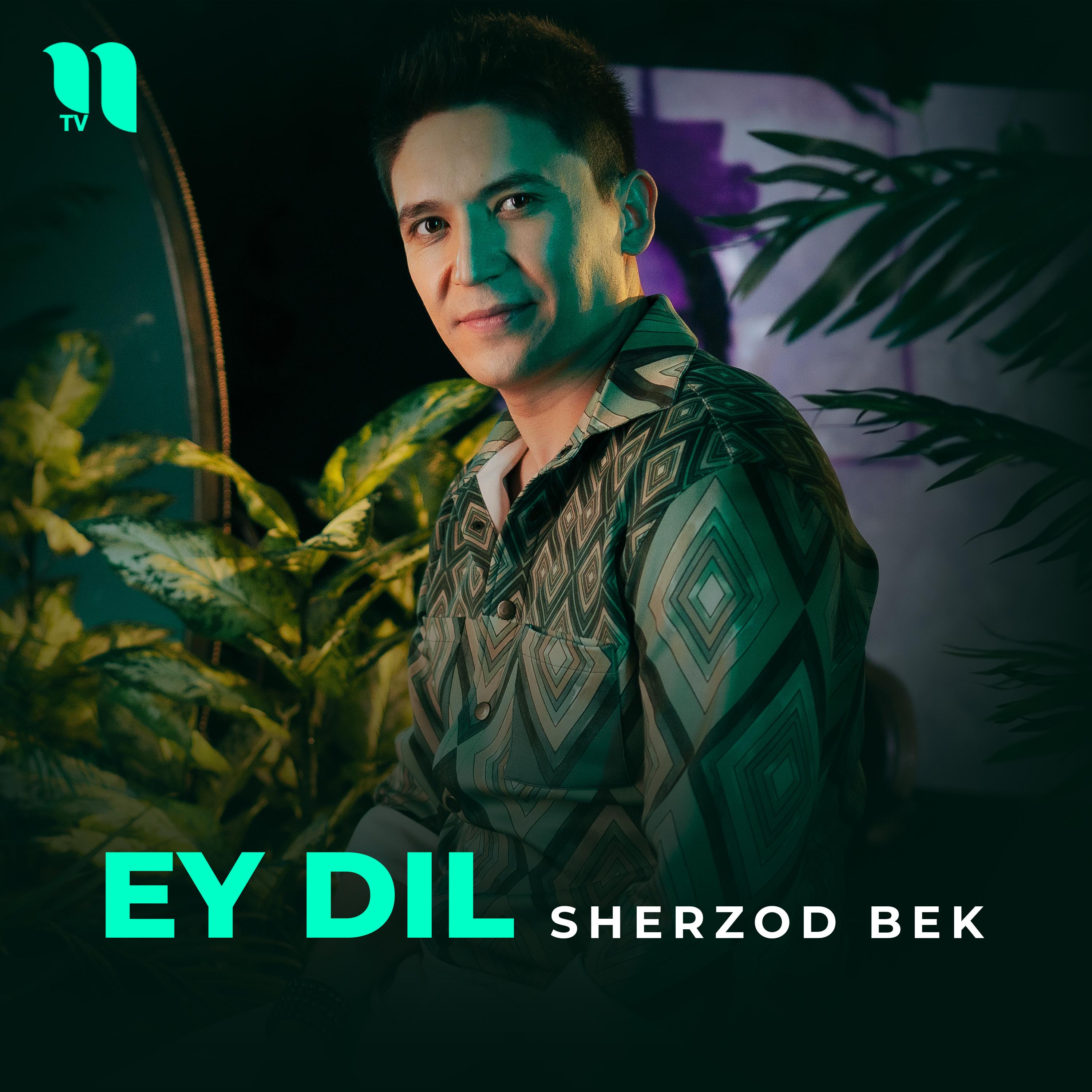 Ey dil