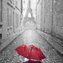 Paris in the rain