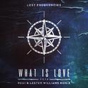 What Is Love 2016 (Regi & Lester Williams Remix)专辑