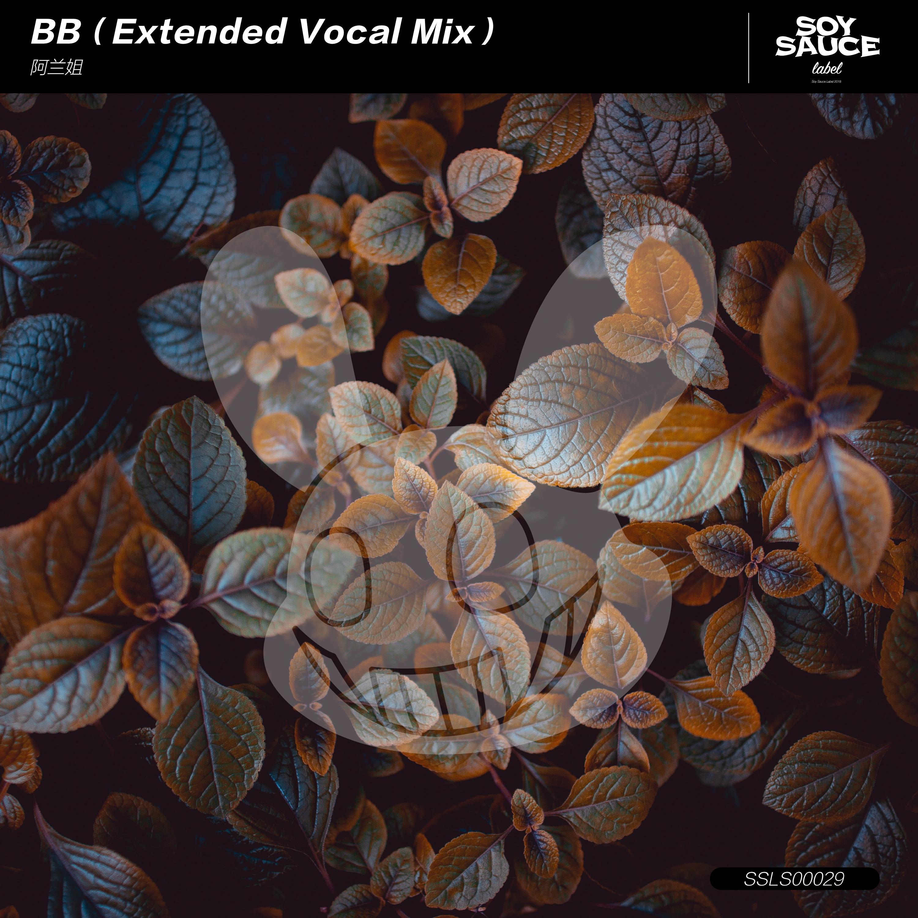 BB（Extended Vocal Mix）专辑