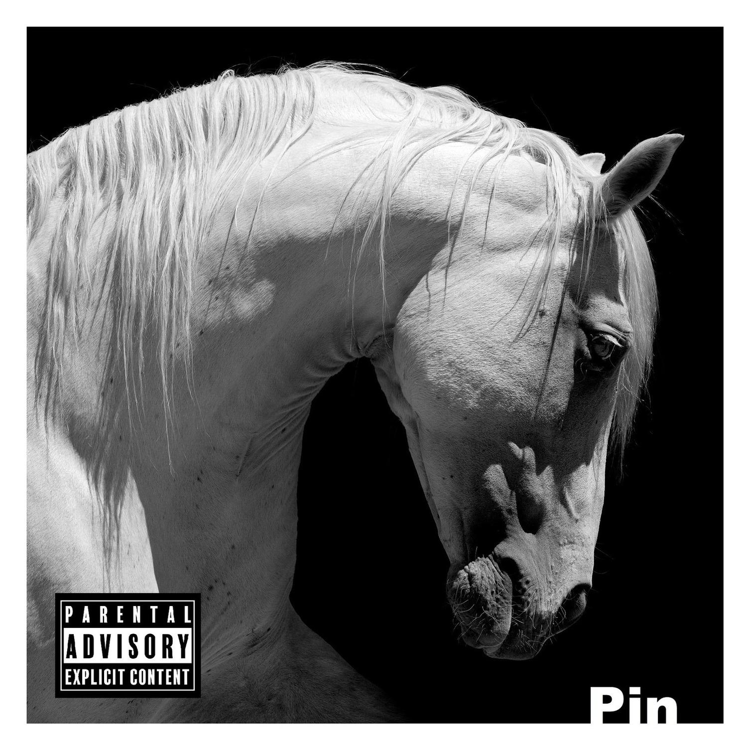 Pin - Pale Horse