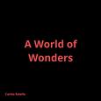 A World of Wonders