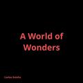 A World of Wonders