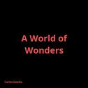 A World of Wonders专辑