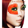 loveflower专辑
