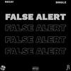 Rozay - False Alert