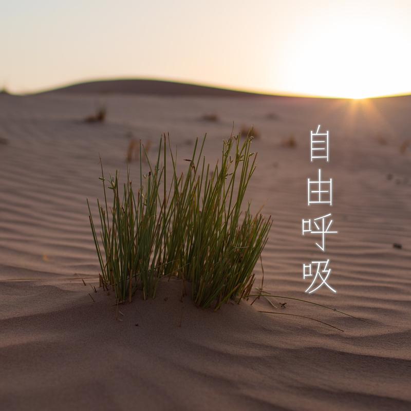 曲婉婷-我的歌声里_1.flac 下载插图