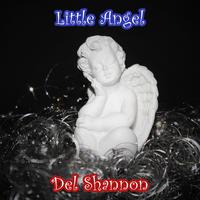 原版伴奏   Hey, Little Girl - Del Shannon