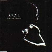 Prayer For The Dying - Seal (PT karaoke) 带和声伴奏