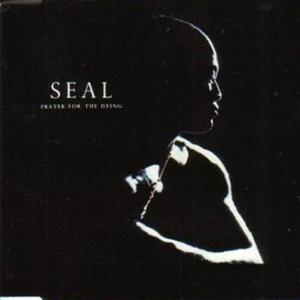 Prayer For The Dying - Seal (PT karaoke) 带和声伴奏 （降1半音）