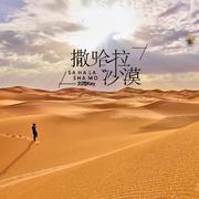 撒哈拉沙漠专辑