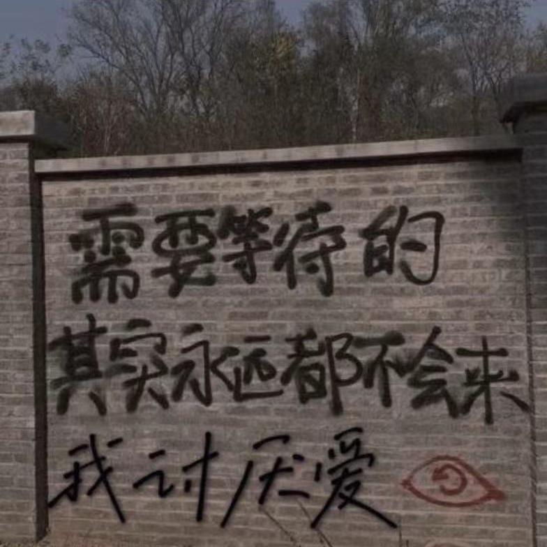 我 讨 厌 爱