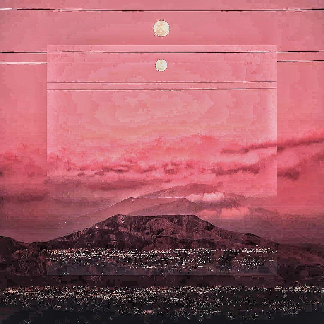 【Free】粉色人间