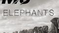 Elephants专辑