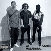 MITO O BRIS - La Corte Malandra