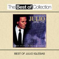 原版伴奏   My Love - Julio Iglesias (karaoke Version)