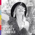 HERZ KRAFT WERKE (Deluxe Version)专辑