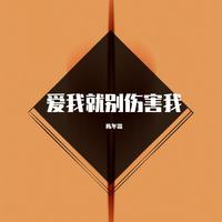 爱我就别伤害我+求佛（2023时尚嘉宾EDM电音舞曲资料）