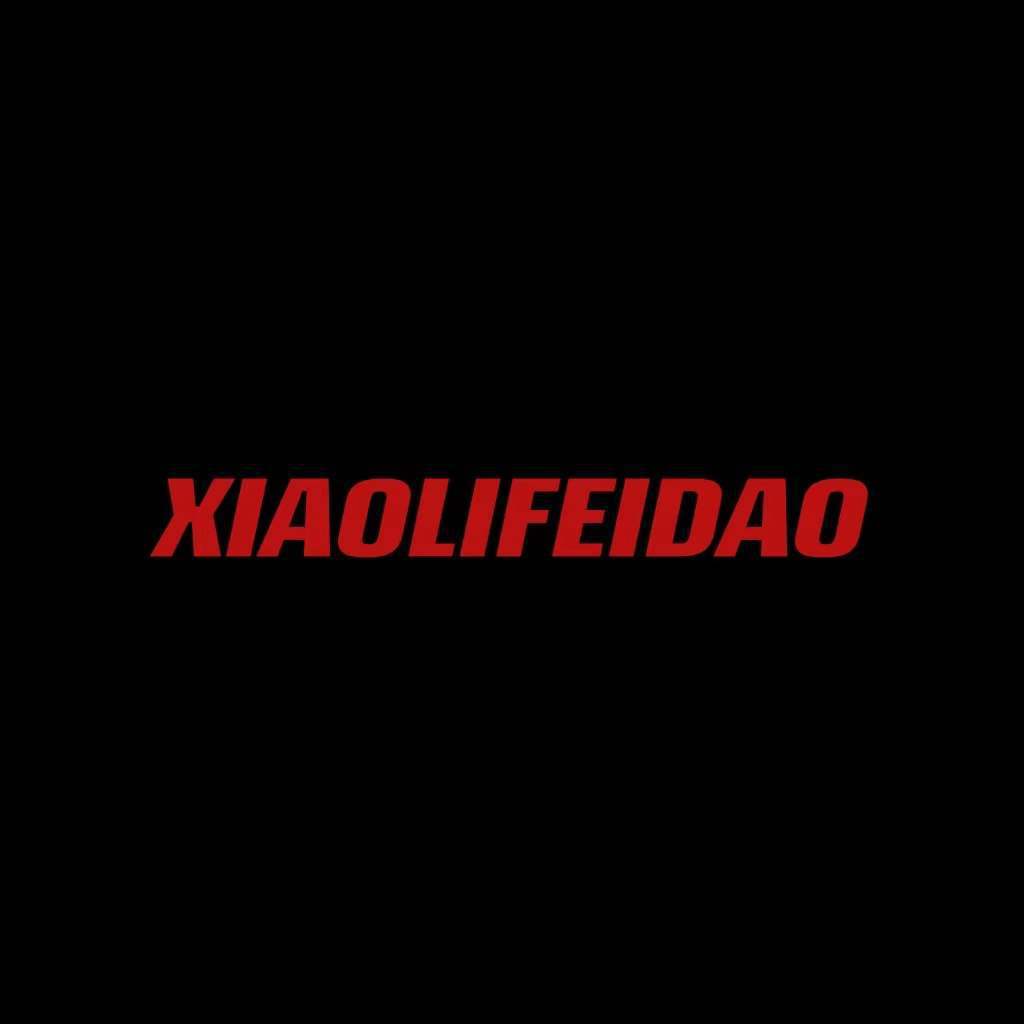 小李飞刀Remix