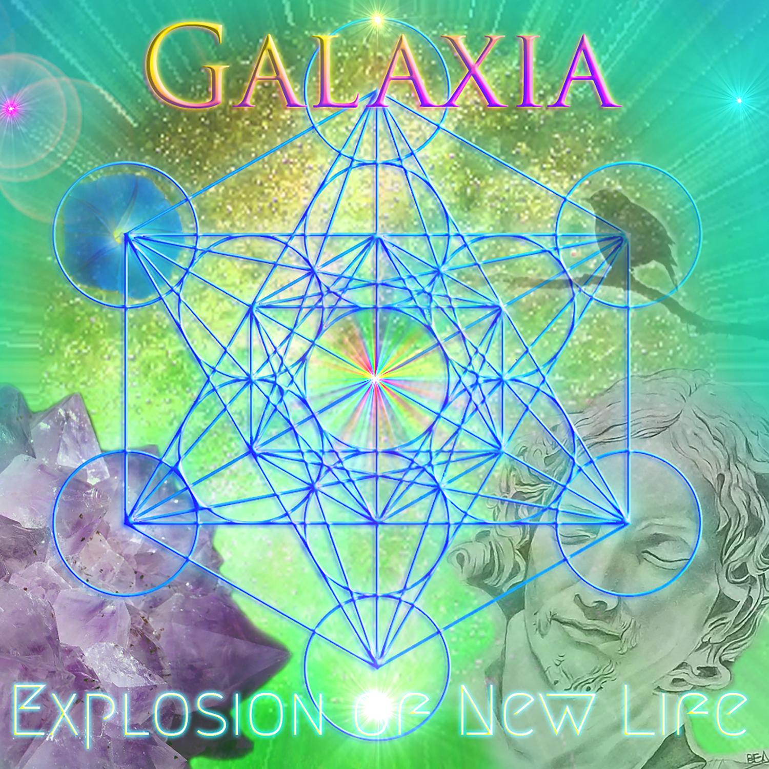 Explosion of New Life