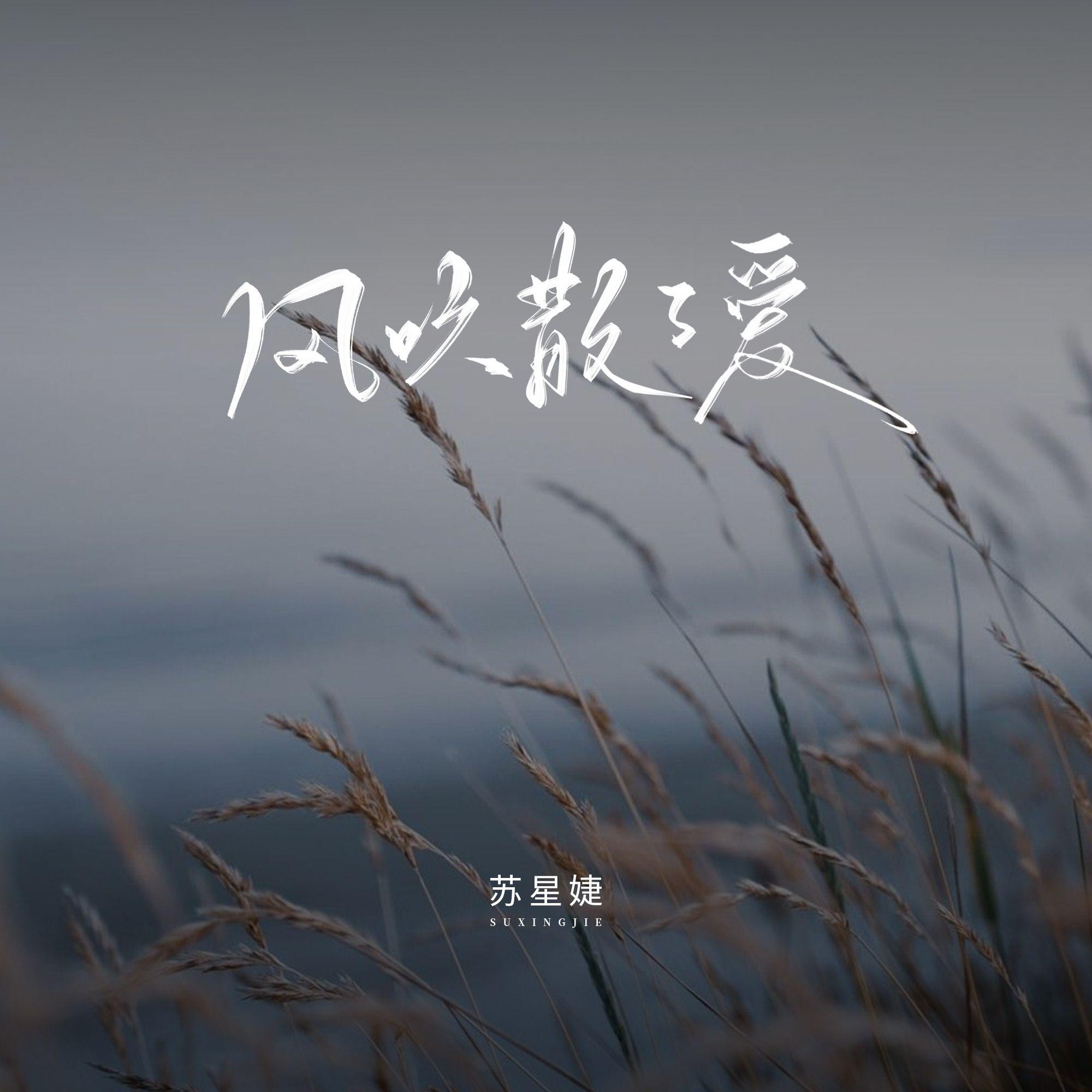 风吹散了爱