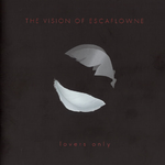 天空のエスカフローネ The Vision Of Escaflowne专辑