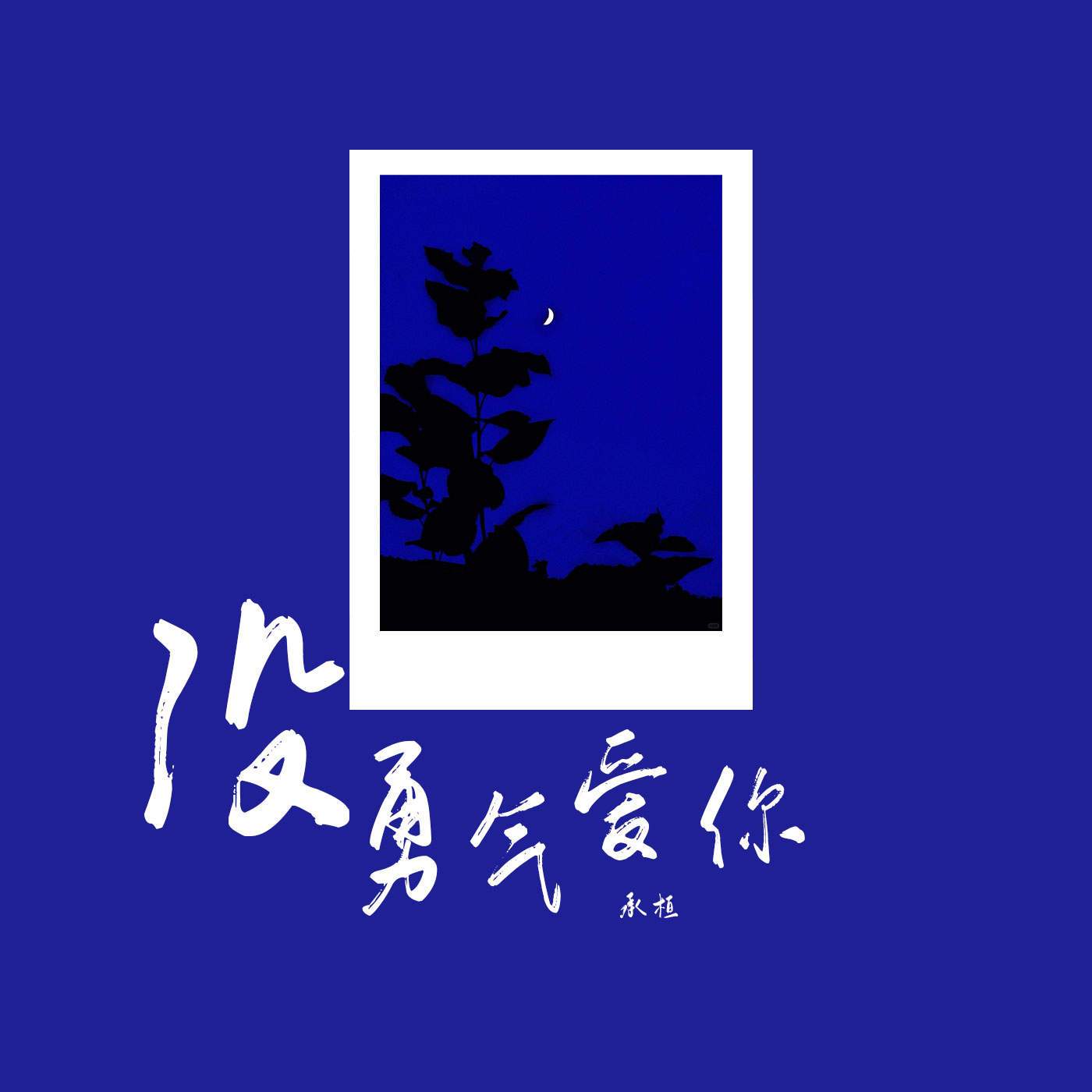 没勇气爱你