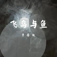 飞鸟与鱼