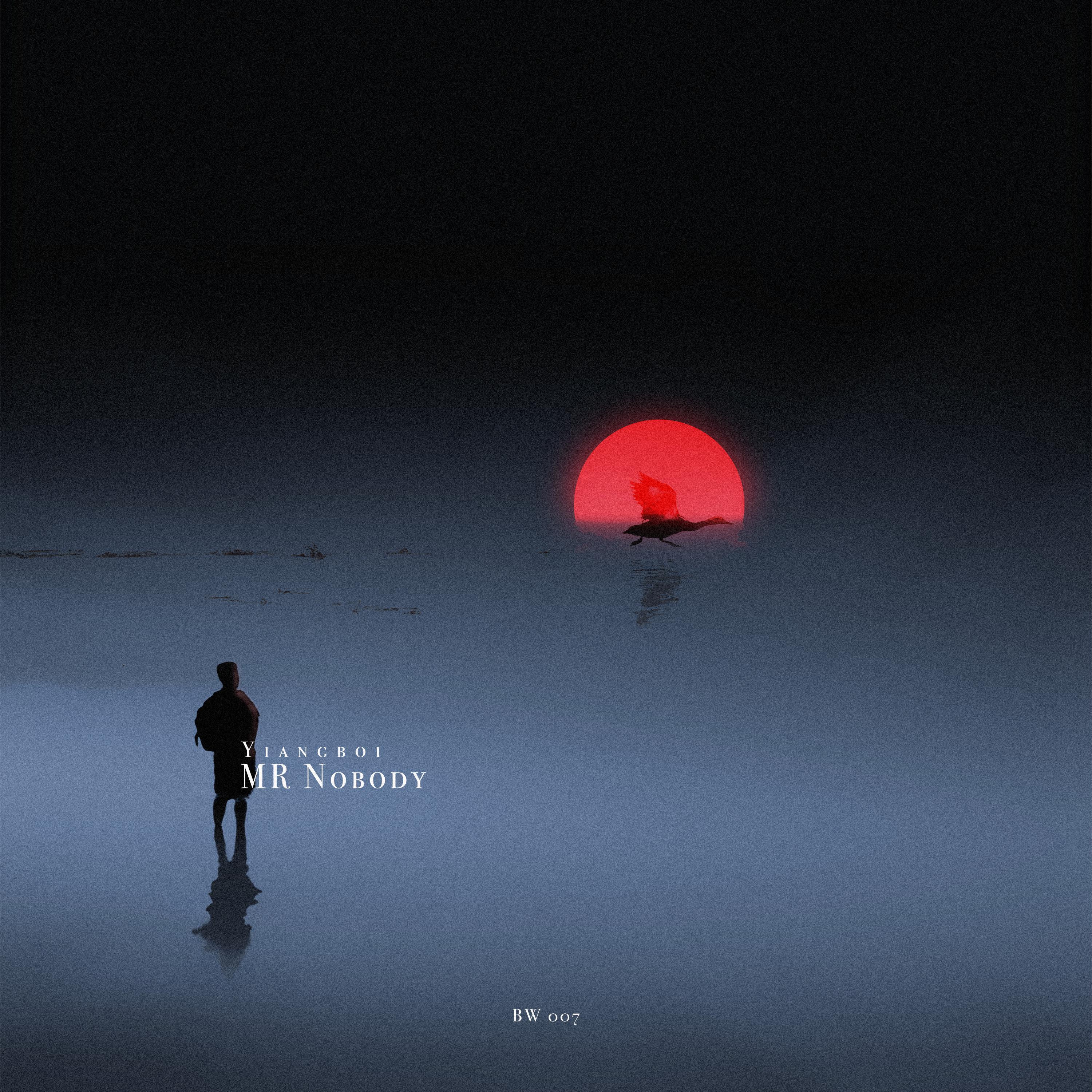MR NOBODY