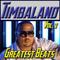 Timbaland: Greatest Beats Vol. 2专辑