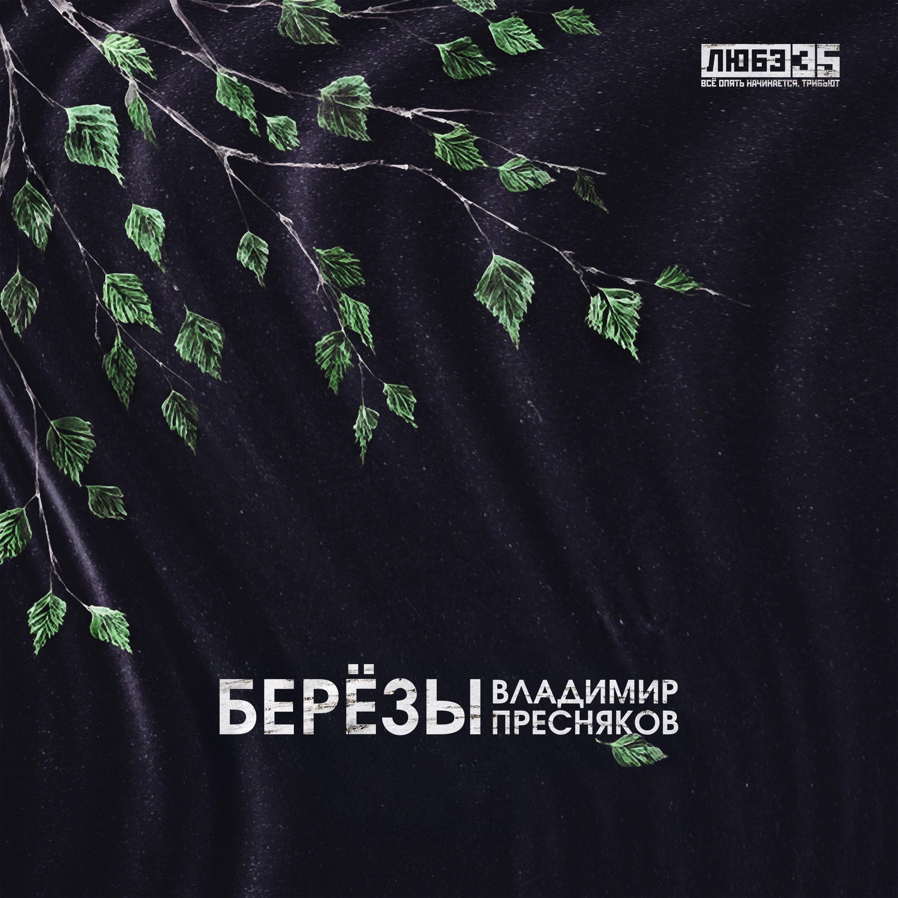 Берёзы (Любэ 35. Всё опять начинается. Трибьют)